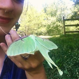 Meet your Posher, Erin